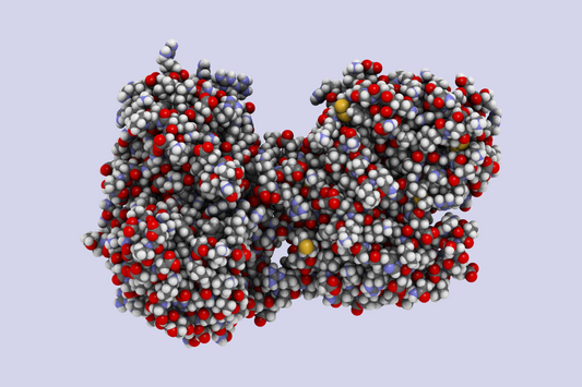 Lactoferrin