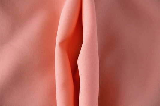 Die Abbildung einer Vulva Vagina Scheide