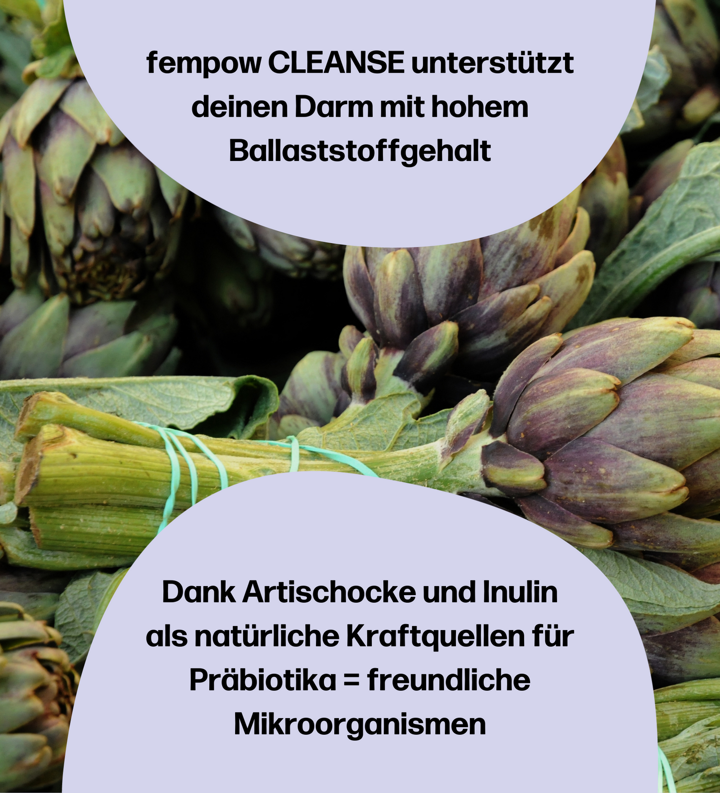 2 Monate femcaps® CLEANSE - mit Frauenmantelextrakt, Vitaminen, Zink und Cholin