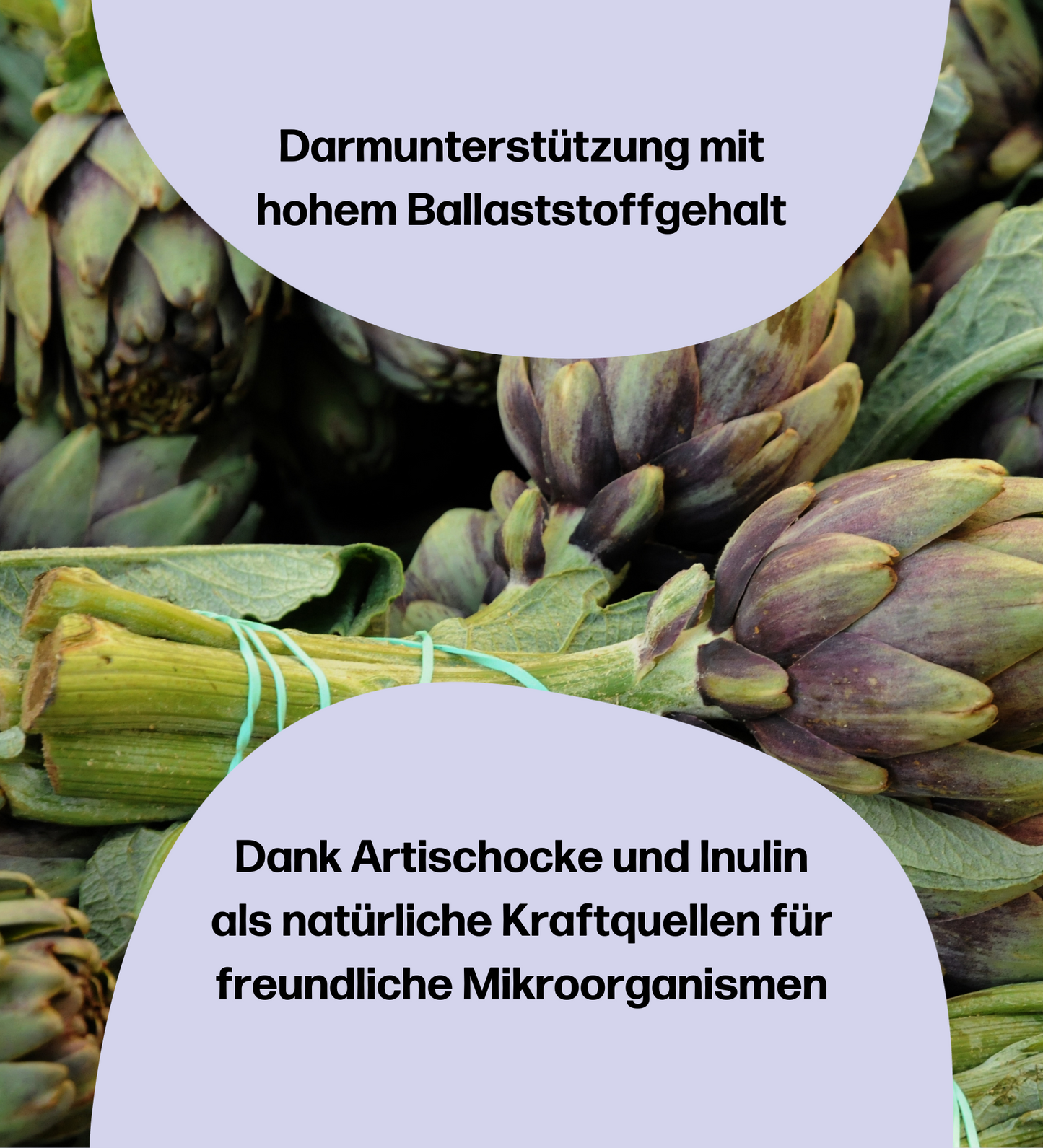 3 Monatskur fempow CLEANSE - mit Frauenmantelextrakt, Vitaminen, Zink und Cholin