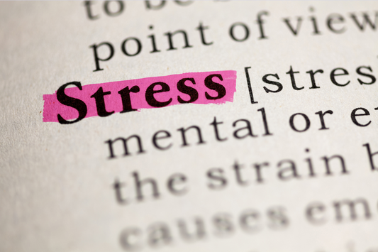 Wie sich Stress entwickelt und was du dagegen tun kannst