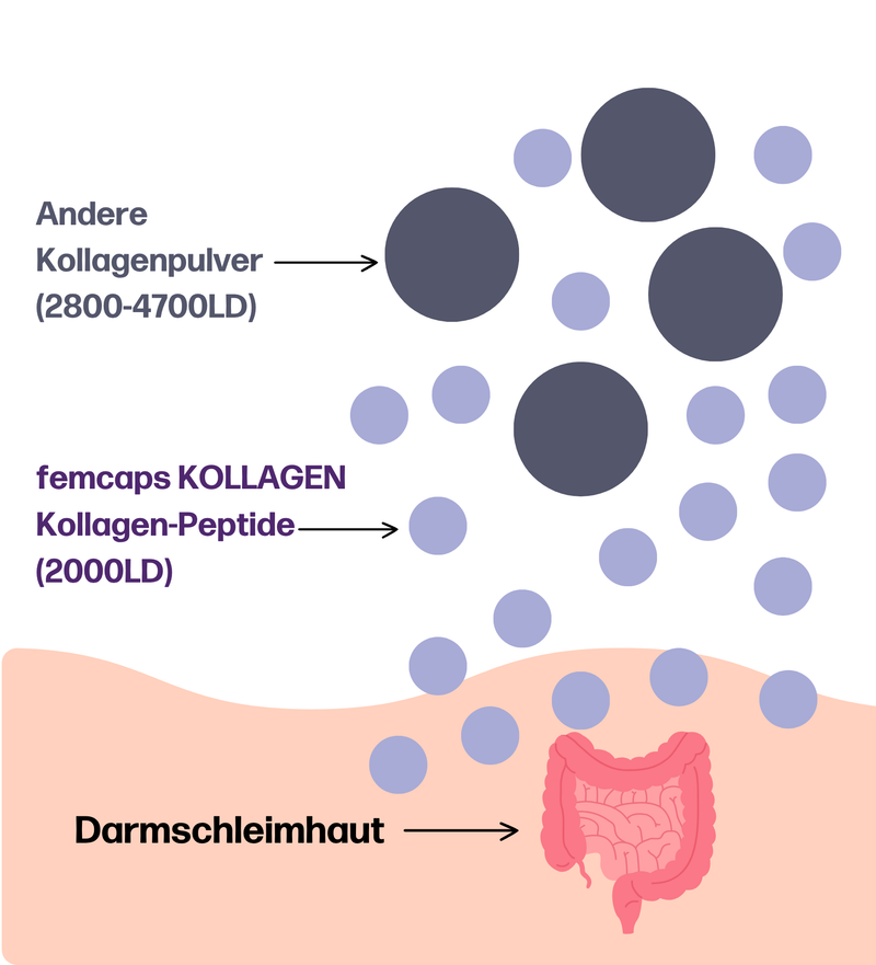 femcaps® KOLLAGEN mit Hyaluronsäure