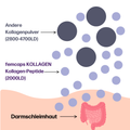 fempow® KOLLAGEN