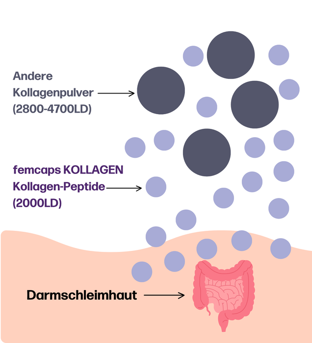 fempow® KOLLAGEN (Neverdone Test)