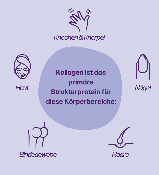 fempow® KOLLAGEN (Neverdone Test)