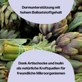 fembites RESET BOX femcaps CLEANSE femgums HAPPY BELLY femgums ZYKLUS BALANCE Ballaststoffe Darmgesundheit