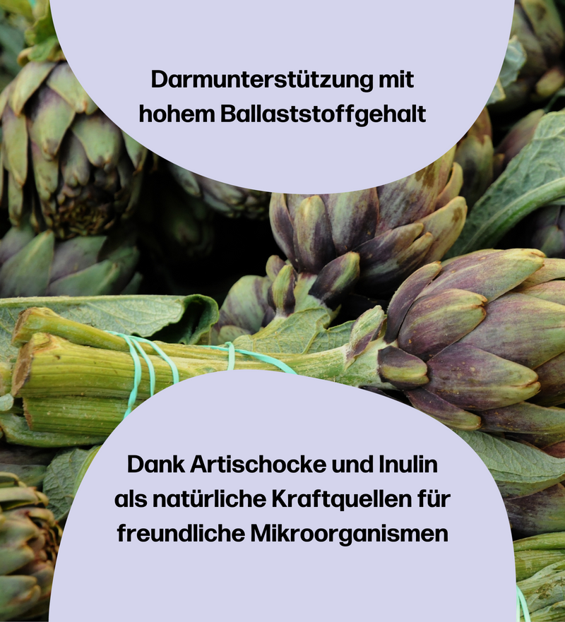 fembites RESET BOX femcaps CLEANSE femgums HAPPY BELLY femgums ZYKLUS BALANCE Ballaststoffe Darmgesundheit