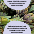 fembites FEMBIOTIC SET fempow CLEANSE Ballaststoffe Artischocke Inulin Darmgesundheit