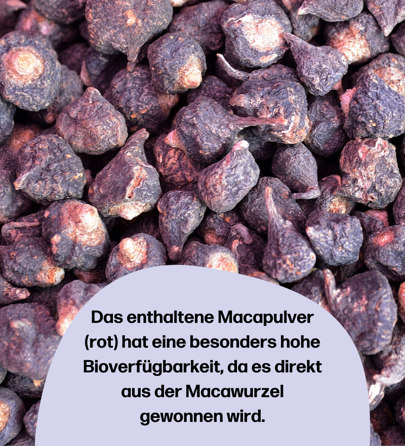 fembites PERIMENOPAUSE SET fempow CLEANSE fempow PMS SUPPORT für Frauen vegan Macapulver