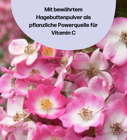 4 Monatskur fempow® PMS SUPPORT* - Vitamin B6 trägt zur Regulierung der Hormontätigkeit bei